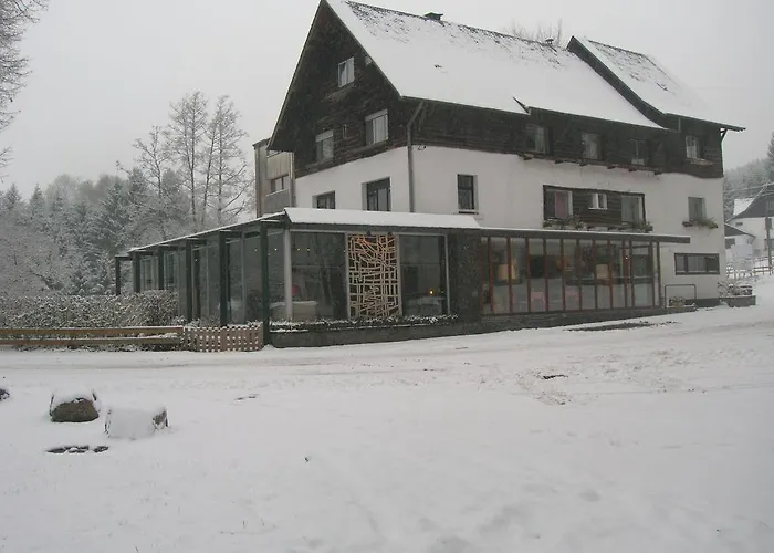 Le Martin Pecheur Hotel Fauvillers